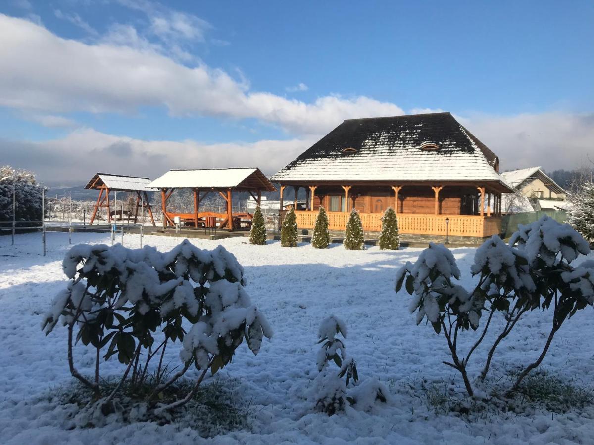 Casa Eli Hotel Vişeu de Sus Buitenkant foto